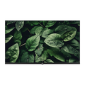 PEL 43 INCHES ANDROID QLED TV
