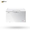 Dawlance DF-300 ES Deep Freezer